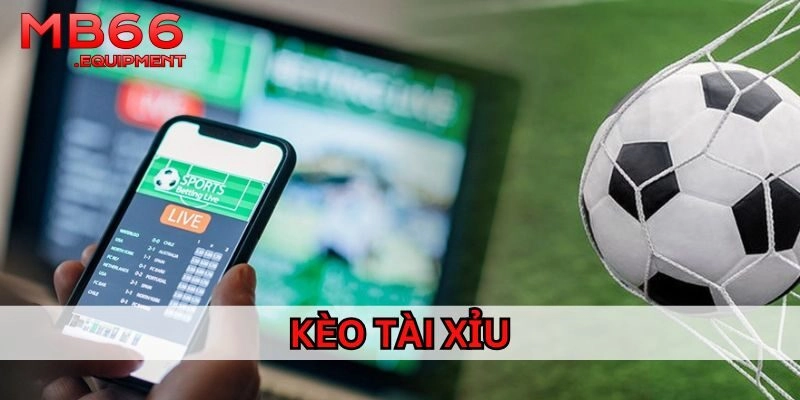 Cách đọc Kèo Tài Xỉu chính xác dễ hiểu 